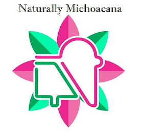 NATURALLY MICHOACANA logo