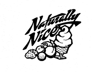NATURALLY NICE logo