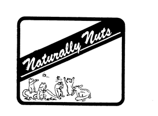 NATURALLY NUTS logo