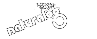 NATURALOG logo