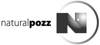 NATURALPOZZ N logo