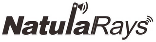 NATURALRAYS logo