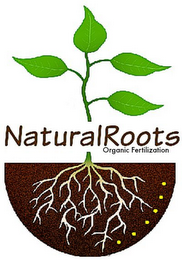 NATURALROOTS ORGANIC FERTILIZATION logo
