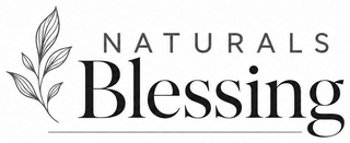 NATURALS BLESSING logo