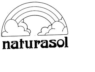 NATURASOL logo