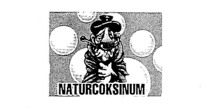 NATURCOKSINUM logo