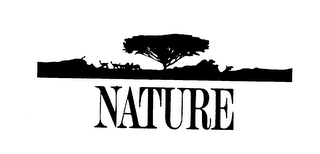 NATURE logo