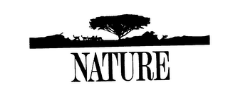 NATURE logo