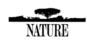 NATURE logo