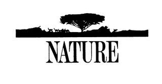 NATURE logo