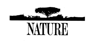 NATURE logo