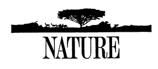 NATURE logo