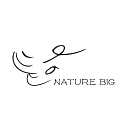 NATURE BIG logo