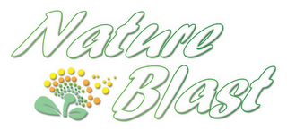 NATURE BLAST logo