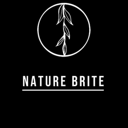NATURE BRITE logo