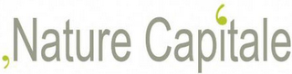 NATURE CAPITALE logo