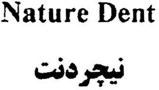 NATURE DENT logo