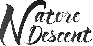 NATURE DESCENT logo