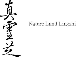 NATURE LAND LINGZHI logo
