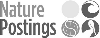 NATURE POSTINGS logo