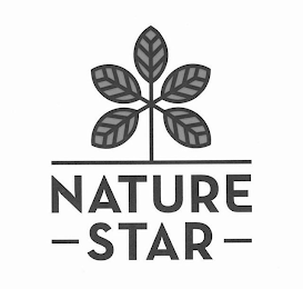 NATURE STAR logo