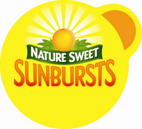 NATURE SWEET SUNBURSTS logo