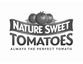 NATURE SWEET TOMATOES ALWAYS THE PERFECT TOMATO logo