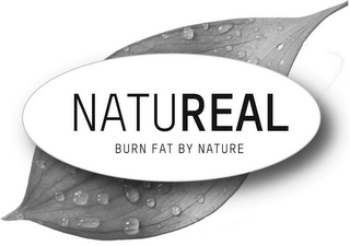 NATUREAL BURN FAT BY NATURE logo