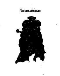NATURECOKSINUM logo