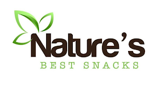 NATURE'S BEST SNACKS logo