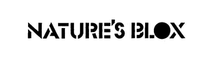 NATURE'S BLOX logo