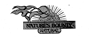 NATURE'S BOUNTY NATURAL logo
