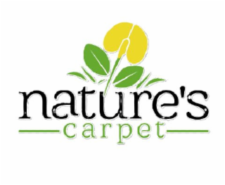 NATURE'S CARPET logo