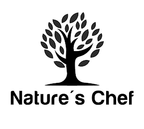 NATURE'S CHEF logo