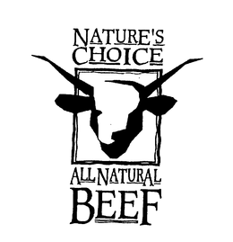 NATURE'S CHOICE ALL NATURAL BEEF logo