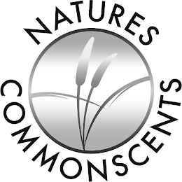 NATURES COMMONSCENTS logo