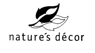NATURE'S DECOR logo