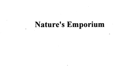 NATURE'S EMPORIUM logo