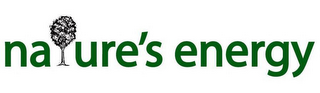 NATURE'S ENERGY logo