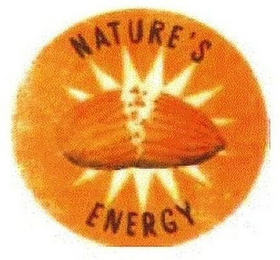 NATURE'S ENERGY logo