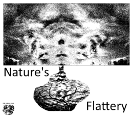 NATURE'S FLATTERY THE DREAM TANK logo