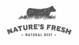 NATURE'S FRESH NATURAL BEEF logo