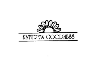 NATURE'S GOODNESS logo