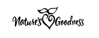NATURE'S GOODNESS logo