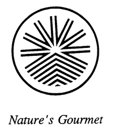 NATURE'S GOURMET logo
