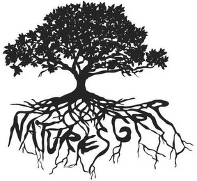 NATURES GRIP logo