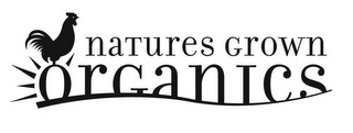 NATURES GROWN ORGANICS logo