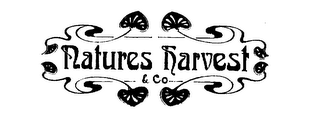NATURES HARVEST & CO logo
