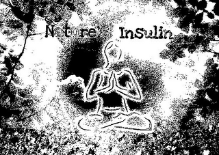 NATURE'S INSULIN logo