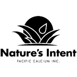 NATURE'S INTENT PACIFIC CALCIUM INC. logo
